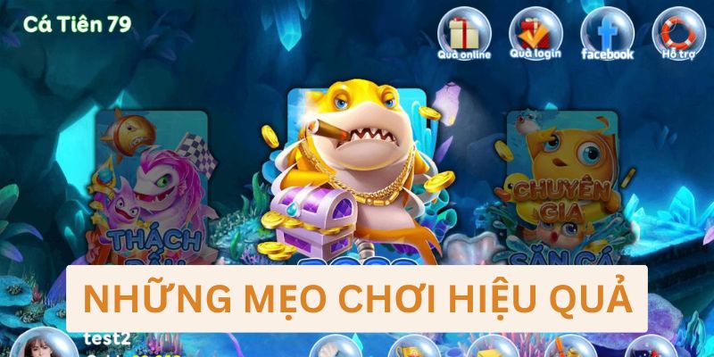 Mẹo săn cá vàng cực đỉnh từ cao thủ